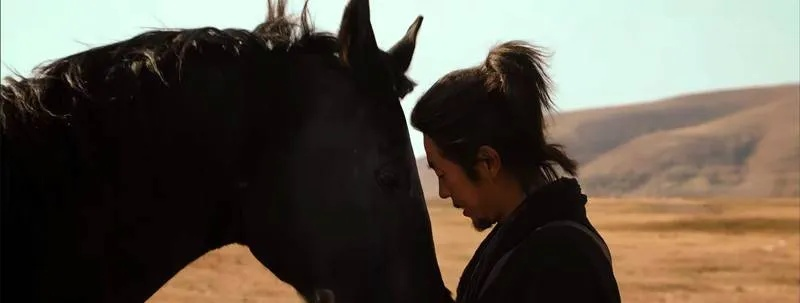 国产武侠片票房天花板被掀翻！镖人，风起大漠狂揽6.89亿！