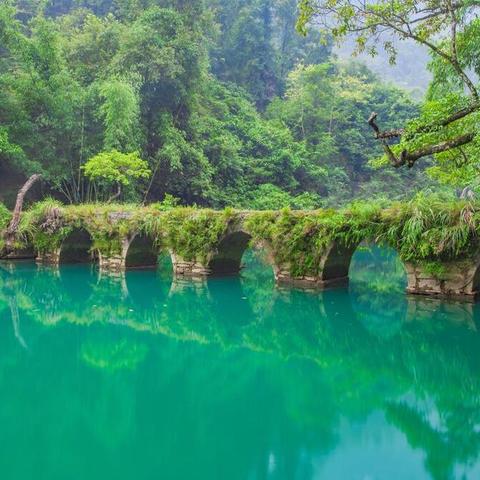 DNF2025五一套终极避坑指南，称号宠物怎么选？3大职业提升率实测