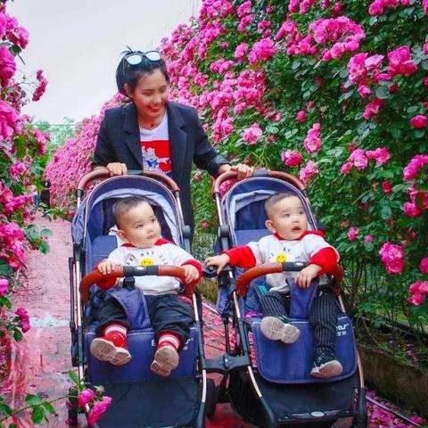 森玫瑰类型全解，2025年版本答案与3大隐藏机制实测报告