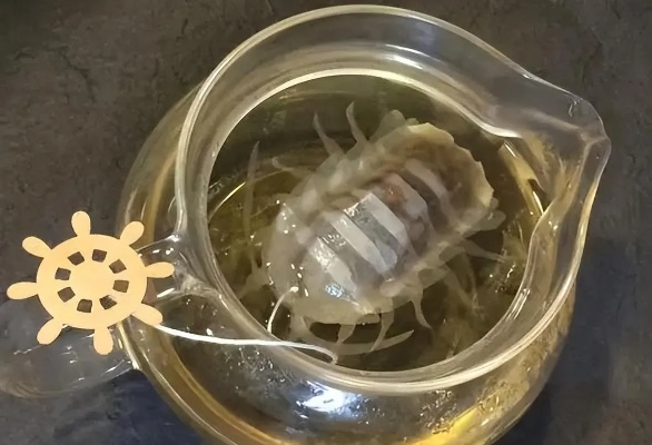 2025台湾大王具足虫拉面爆红背后，3大尝鲜圣地与深水虱料理全攻略