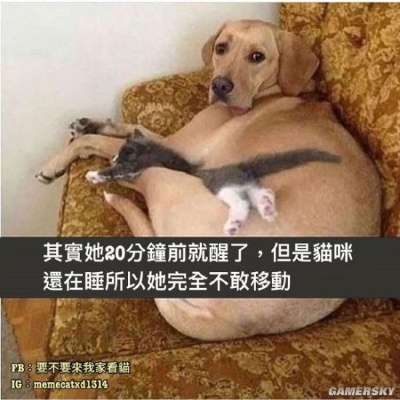 穿黑丝腿会变瘦 公布性取向的晚间囧图