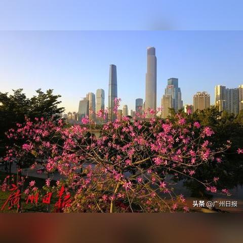 2025地狱兔子终极指南，愤怒的死亡兔子全成就速通攻略