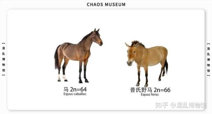 为什么你的乌骓马总落后？2025最新类型匹配与进阶全攻略