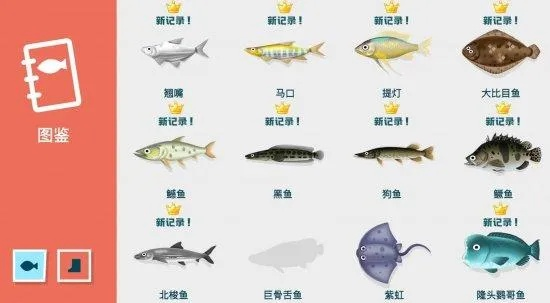 动鱼数码类型全解析，从入门到精通的硬核玩家装备手册