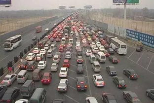 凌晨5点服务区被一车集体打鸣的鸡吵醒,这噪音比尖叫鸡还厉害! 凌晨5点服务区被一车集体打鸣的鸡吵醒,这噪音比尖叫鸡还厉害!