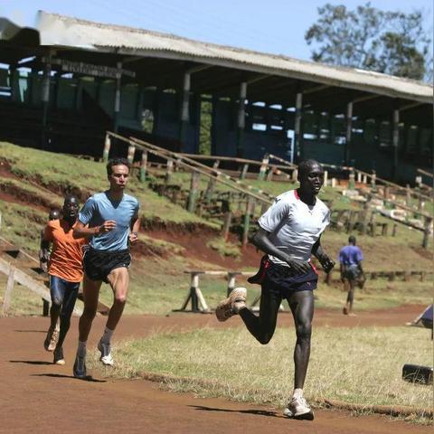 梦幻西游2五开搬砖2025年最新实战，月入8000+的隐藏赛道与门派配置绝密档案