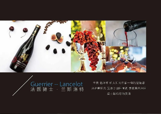 骑士与红酒预告发布！试玩 Demo 现已上线，快来抢先体验！