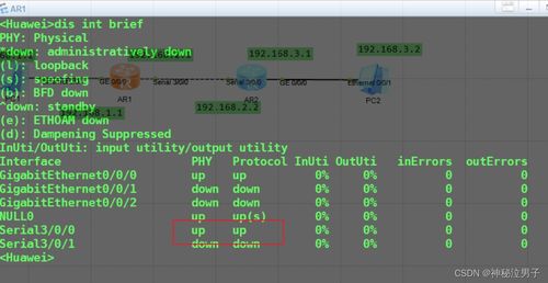 一、装备本质定位，被误解的孤独机制