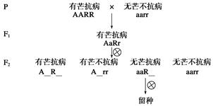 花屏的三种基因型，你下错补丁的根源