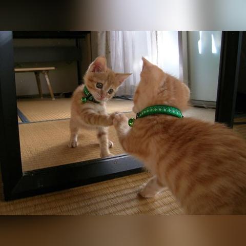 狂暴战士7.3版本怒气机制重构,从垫底DPS到团本MVP的质变之路 狂暴战士7.3版本怒气机制重构,从垫底DPS到团本MVP的质变之路