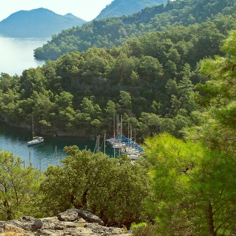 47岁土耳其美女演员Ins付费订阅20小时吸金超20万里拉，爆火原因揭秘