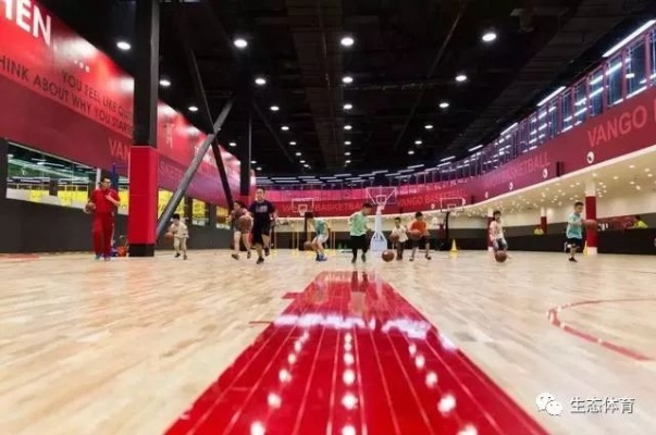 从地下室到体育馆，VGL的破圈密码