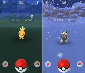 2026宝可梦GO隐藏机制大揭秘，Niantic未公开的捕捉算法与道馆防守漏洞