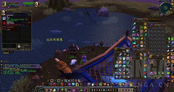 WOW钓鱼海龟坐骑刷多久？2025年7天必出秘籍+日入万金钓点实测