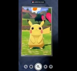 实体下载卡泄露！宝可梦Pokopia容量大小终于曝光啦