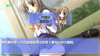 PSP秋之回忆6三角波动机制破解,智纱莉莉丝铃全路线高收束通关指南 PSP秋之回忆6三角波动机制破解,智纱莉莉丝铃全路线高收束通关指南