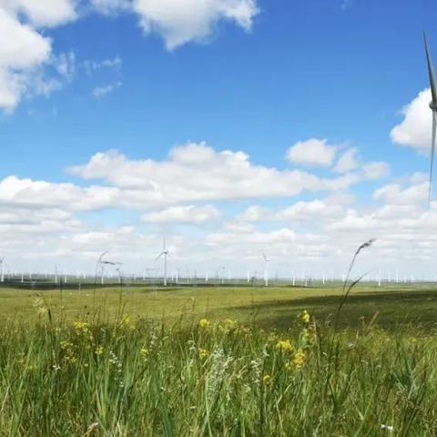 新天翼之链2025终极指南，零氪党如何30天登顶战力榜？