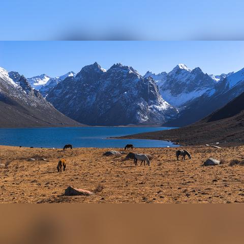 DNF天6天空套2025最新合成成本揭秘，12万点券够吗？