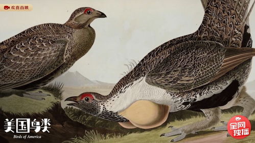 想体验美少女肉鸽刷宝快感？无限的迷宫城全新中文版本已上线！