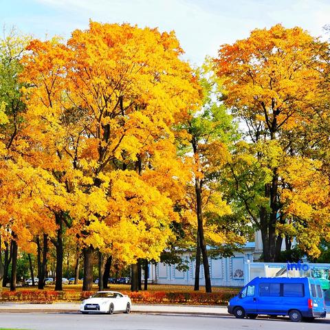 1905 年出生的俄罗斯女子有望成全球最长寿女性，饮食秘诀，远离汽水和加工食品