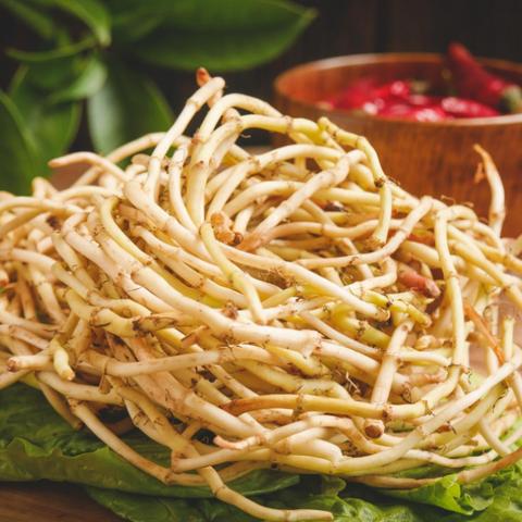 《生化9》IGN 9分：窒息紧张与火力全开双重享受