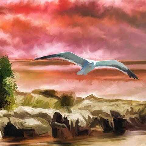 2K14键盘操作终极指南，从新手到高手的完整键位秘籍（2025实战版）