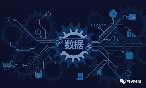 枫雪镇绝版地图回归预测，2025年末最新数据与隐藏宠物获取全攻略