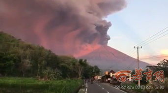 巴厘岛暴雨后现惊魂一幕，近5米长巨蟒游过居民区