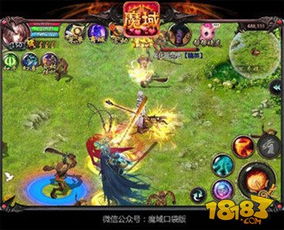 想开局就有新年兽？这份魔域口袋版新服攻略你不能错过！