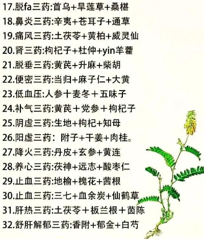 百草传2025绝密配方大全，这7个草药搭配让新手7天通关