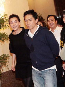 2025香港明星偶遇绝密地图，梁朝伟刘嘉玲私藏路线与实战技巧全解析