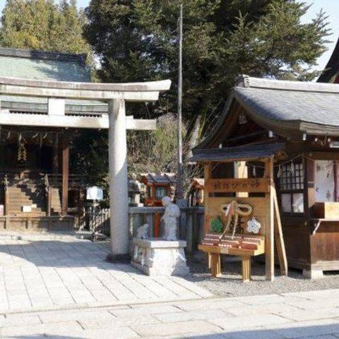 2025游戏神明角色深度培养指南，7大主神类型实战配队与天赋加点全解析