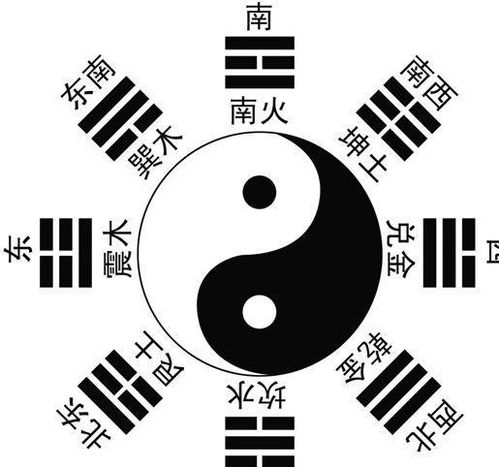 九阴真经八卦类型终极指南，2025年最新属性搭配与实战套路深度拆解