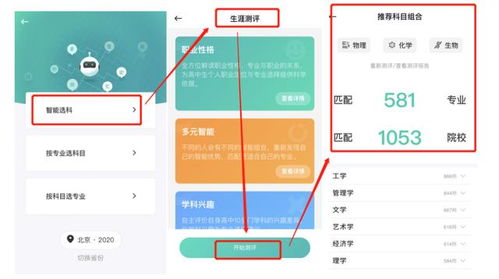 角力学校怎么选？2025年专业教练揭秘3大核心类型与匹配策略