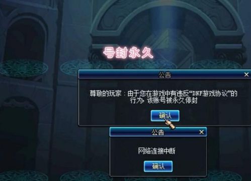 QQ音速紫钻乐园绝版特权全解密，2025年怀旧玩家终极收藏指南