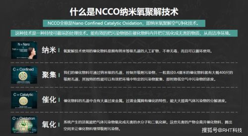 专扁衰仔类型深度拆解，从识别到反制的完整攻防手册