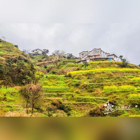 棒鸡新游开测开服火爆！是在搜索、打击、撤离的新大山吗？