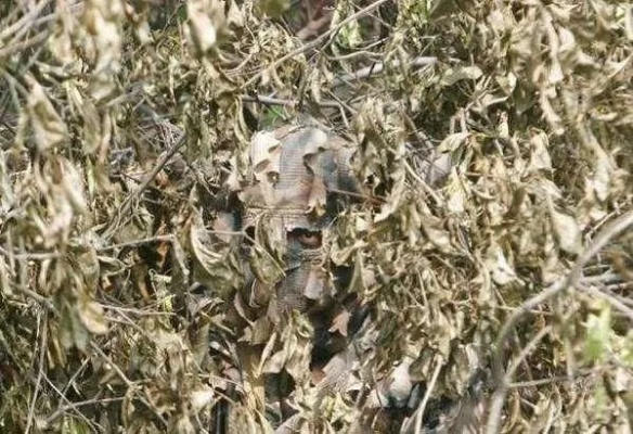 一、刷榜江湖的三种伪装术 一、刷榜江湖的三种伪装术