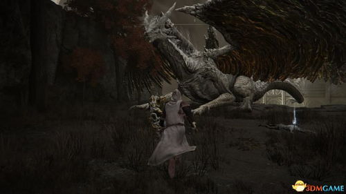 山猫之灵哈尔拉兹通关率仅38%?2025祖阿曼2号BOSS硬核战术重塑 山猫之灵哈尔拉兹通关率仅38%?2025祖阿曼2号BOSS硬核战术重塑