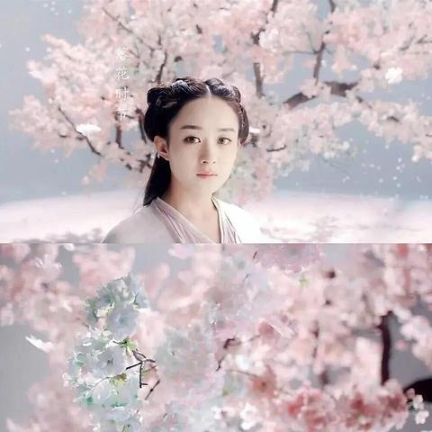 仙侠世界视频类型全解析，从入门到爆款的实战路径