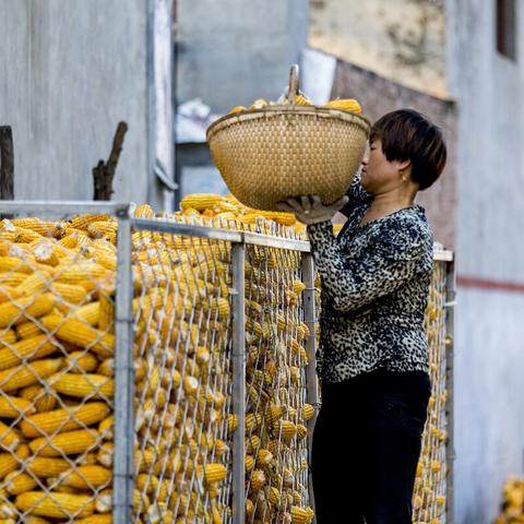 2026年2月网游版号审批结果揭晓,146款国产、6款进口游戏顺利获批 2026年2月网游版号审批结果揭晓,146款国产、6款进口游戏顺利获批