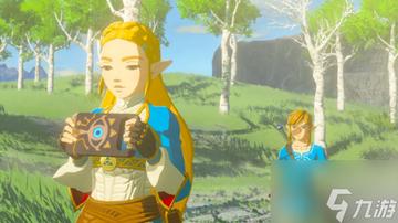 弟弟代通关塞尔达纪念兄长，2025最新数字遗产继承与情感化完美通关全攻略