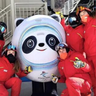 熊猫团类型定位与当前版本生态