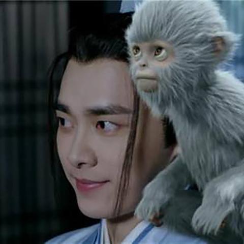 灵猴职业特性与宠物匹配的黄金法则