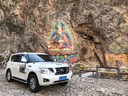 尘埃拉力2.0调校终极圣经，2026年职业车手私藏的7个悬挂隐秘参数揭秘