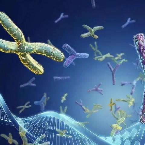 男性Y染色体正在消失！与多种疾病相关 男性会灭绝吗