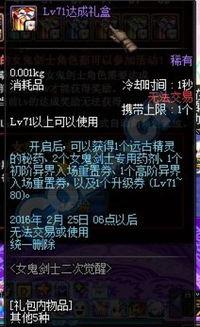 女鬼剑补丁避坑指南，2026年3月实测安全安装与冲突解决方案