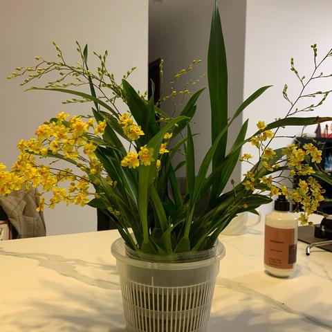 《后室梦穿》预告   将于3月13日登陆PC平台