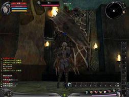 神泣Shaiya死亡模式不死神话，2026新版职业生存强度榜与极限配装揭秘