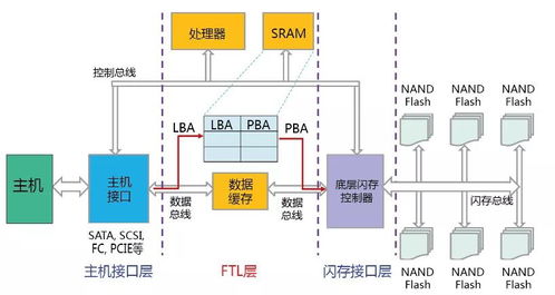 2026年联机游戏延迟高总掉线？从服务器选址到网络优化的实战生存指南
